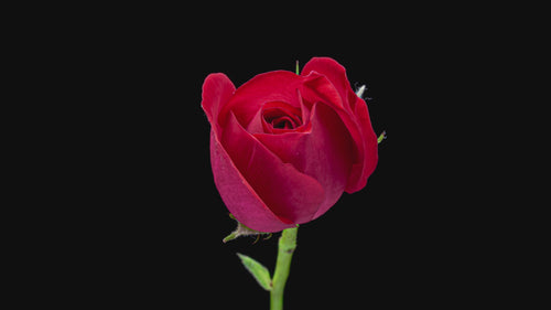 iStock-1789216558.mov